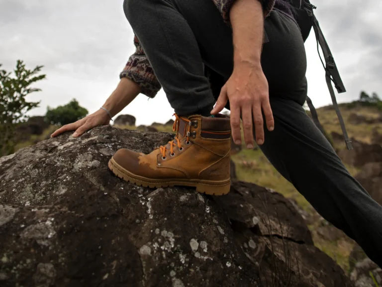 Into the Wilderness Discovering Untamed Beauty Beyond Reach