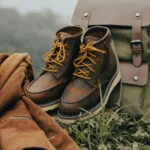 In the Heart of the Wilderness The Power of Nature’s Silence