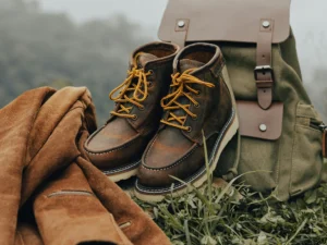 In the Heart of the Wilderness The Power of Nature’s Silence