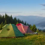 Wild and Free Embracing the Outdoors in Every Season